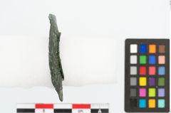 Foto von Bronzescheibe (NHMW-PRAE-026659)